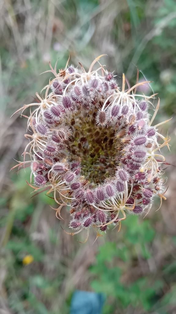 Sich zurückziehen...