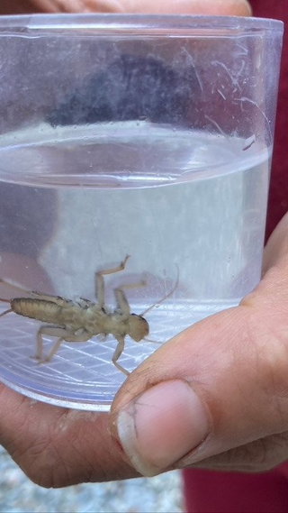 Wasseruntersuchung