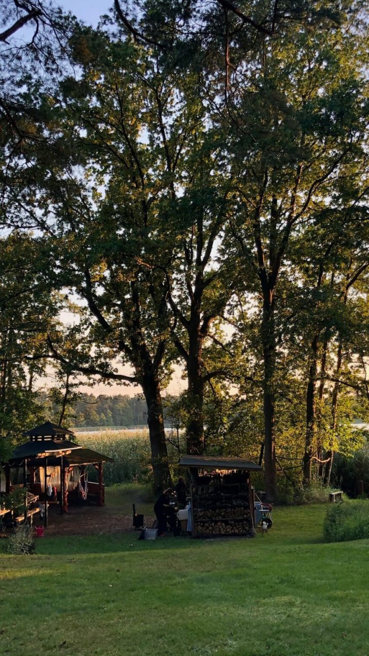 WuW | Wildnisplatz am Silbersee