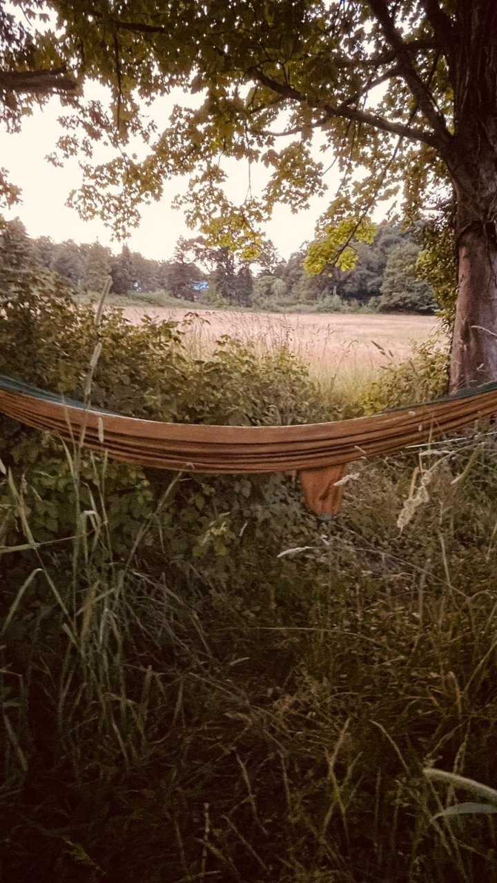 Hängematte gefällig?