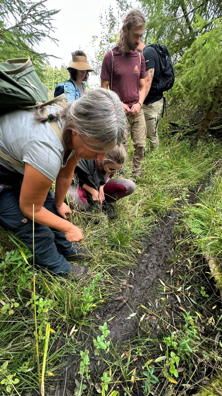 Spurenlesen und Säugetiere