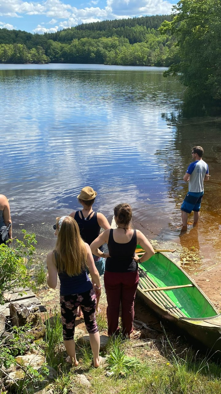 Wildes Leben in Schweden