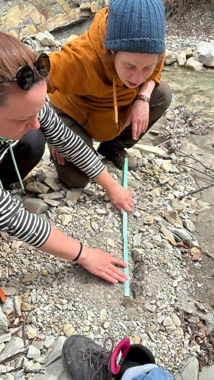 Fährtenlesen und Spurenkunde