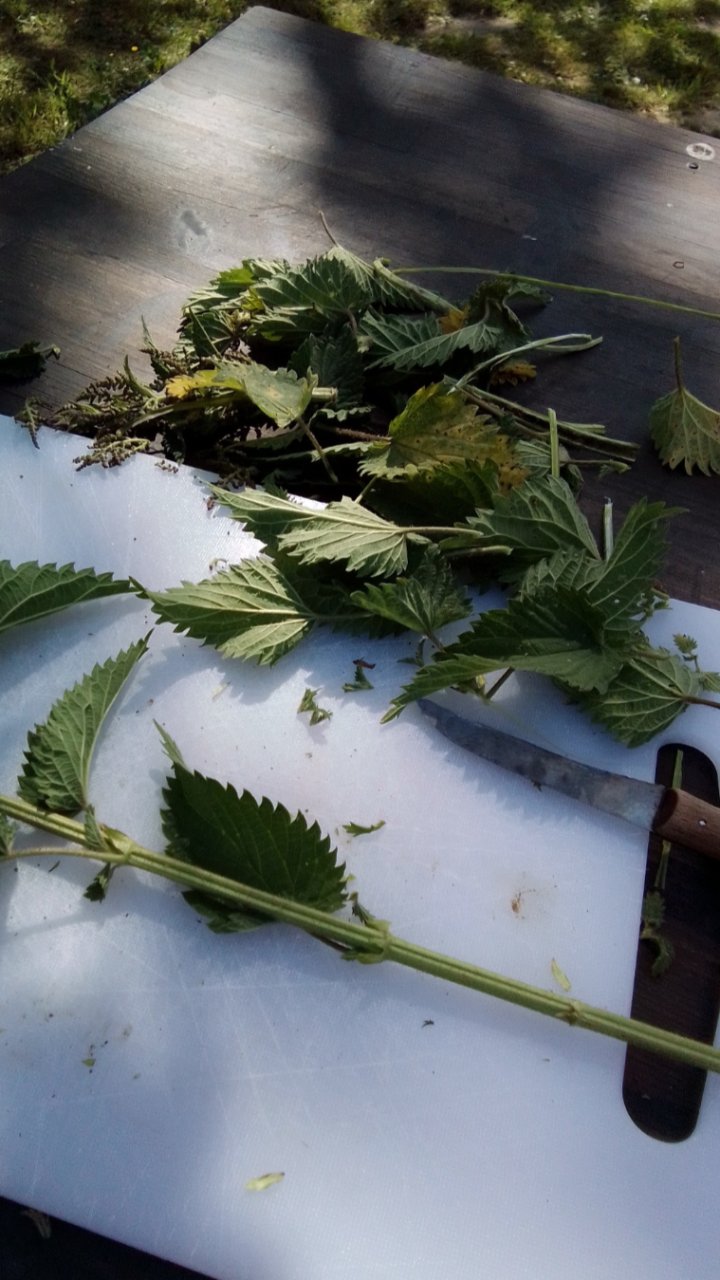 Vorbereitungen treffen