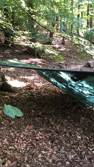 Waldübernachtung