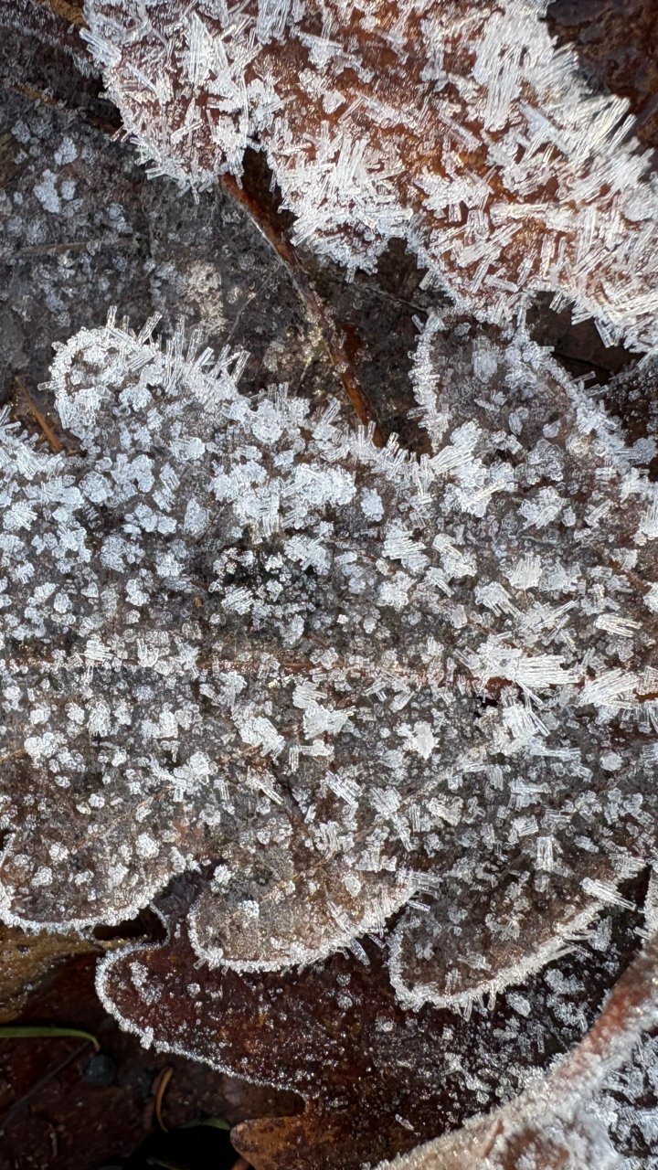 Die bewusst beobachten