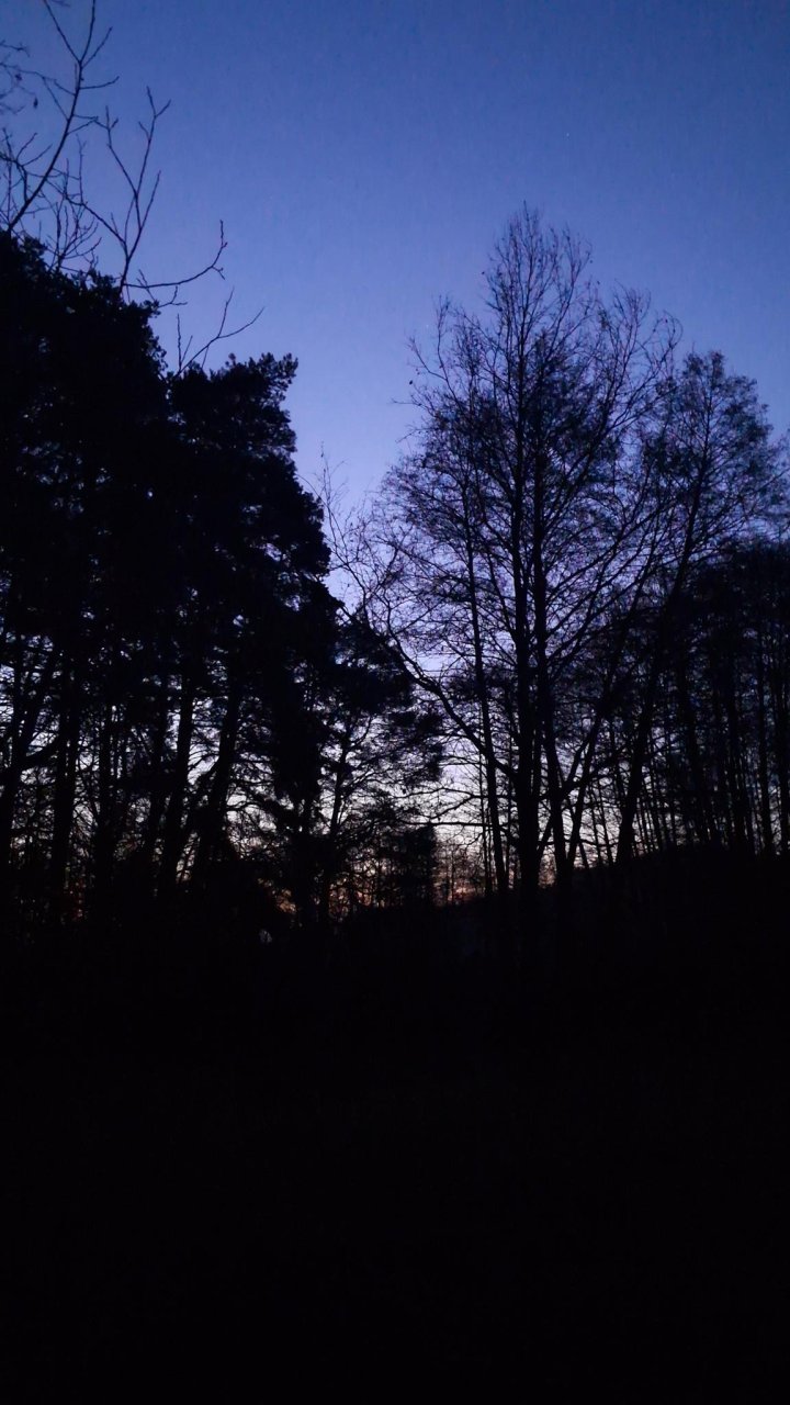 WoWa |Aufbruch am Morgen