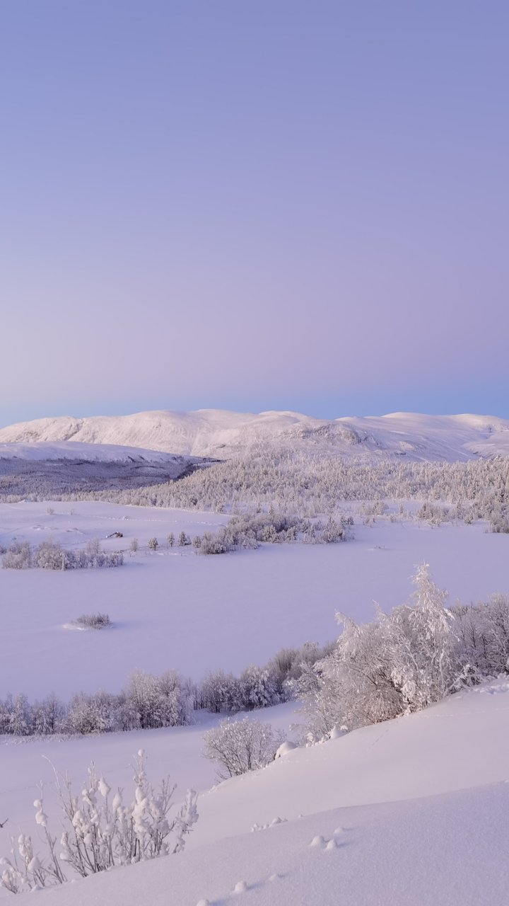 Im "Fjell" nahe Jotunheimen NP