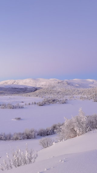 Im "Fjell" nahe Jotunheimen NP