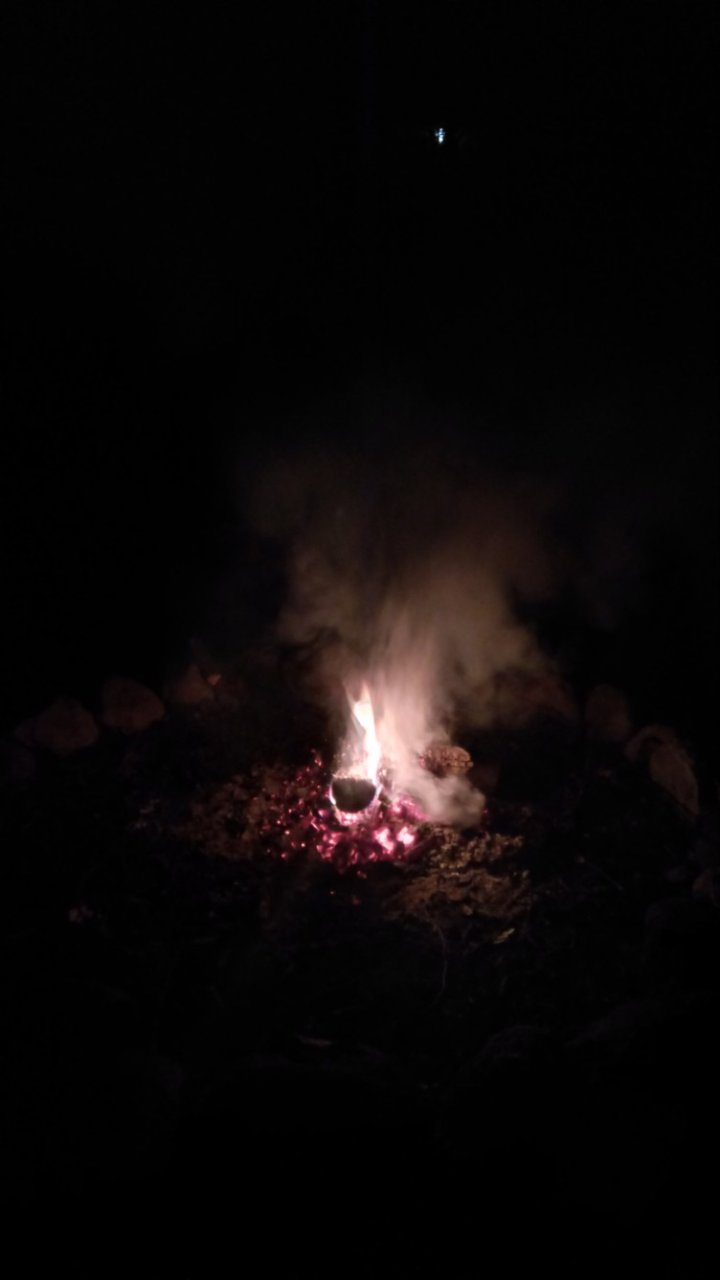 Wildnis-Retreat in Saxtorp
