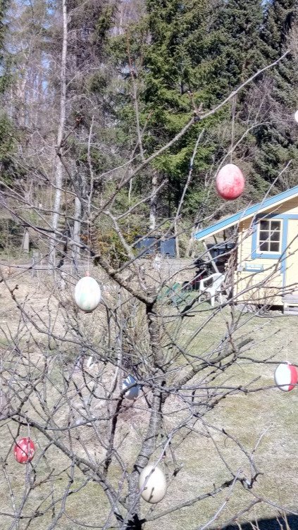 Wildnis-Retreat in Saxtorp