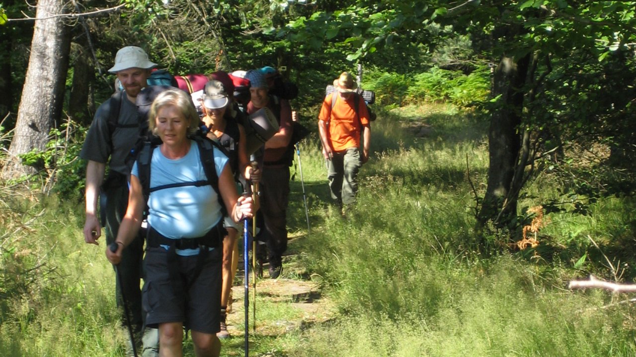 Vorschau Bild des Kurses Wildniswandern im Böhmerwald