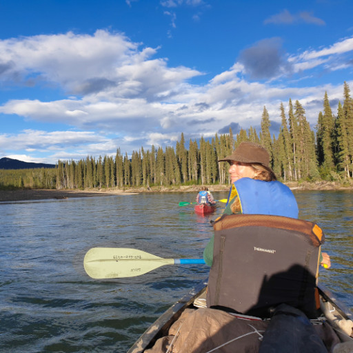 Vorschau Bild des Kurses Raus in die Wildnis