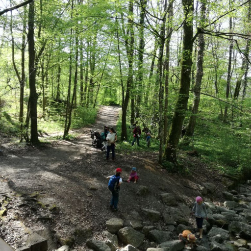 Vorschau Bild des Kurses Wildfrau & Glückskind