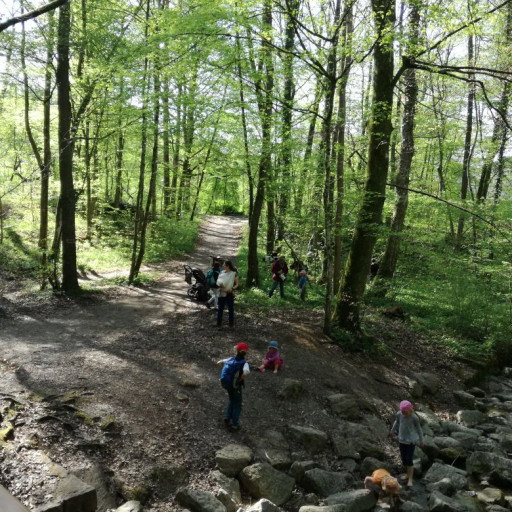 Vorschau Bild des Kurses Wildfrau & Glückskind