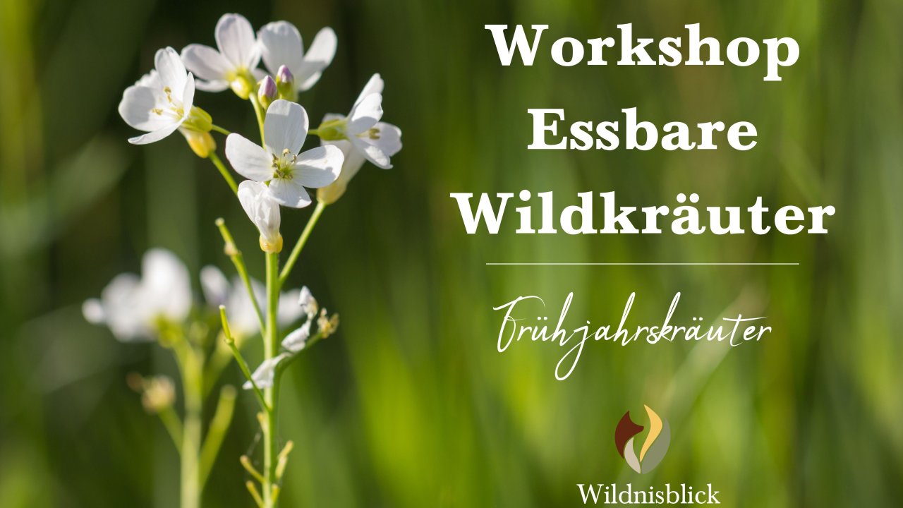 Vorschau Bild des Kurses Wildkräuter-Workshop auf Burg Satzvey - Frühjahrskräuter