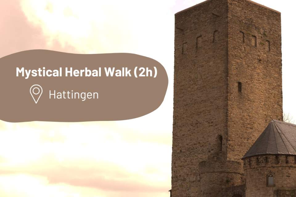 Vorschau Bild des Kurses Mystical-Herbal-Walk (2h)