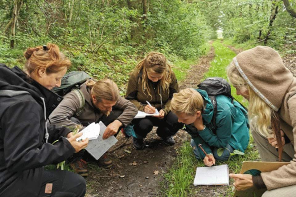 Vorschau Bild des Kurses FÄHRTENLESEN – Tageskurs
