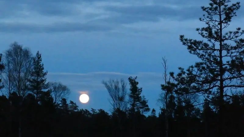 Vorschau Bild des Kurses Caretakerwoche in Schweden