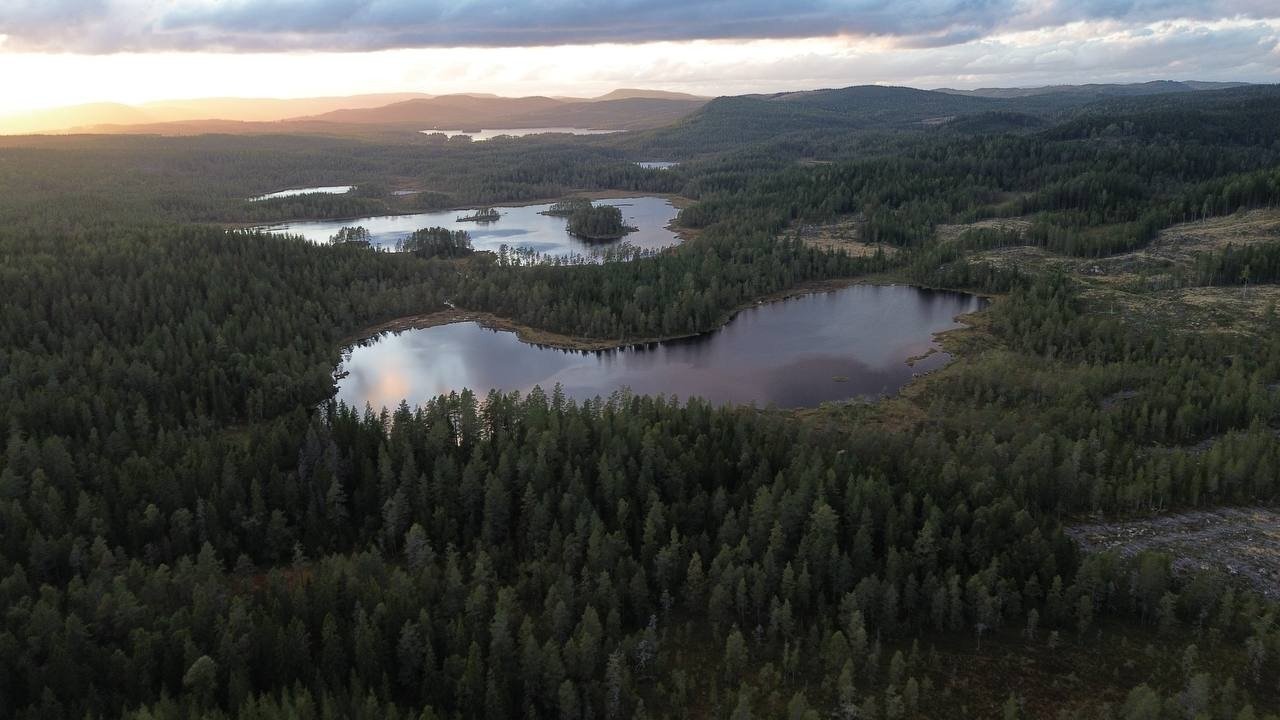 Vorschau Bild des Kurses SURVIVAL GUIDE AUSBILDUNG [Herbst 2026]