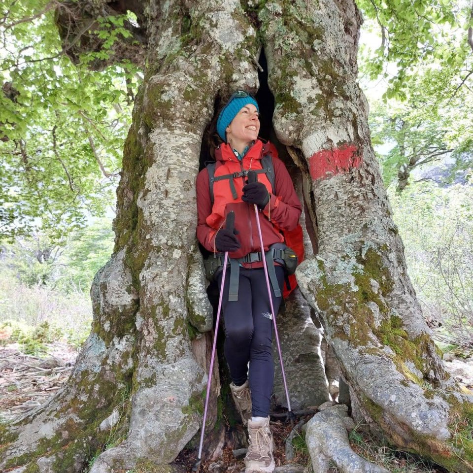 Bild des Team Mitglieds Yvi