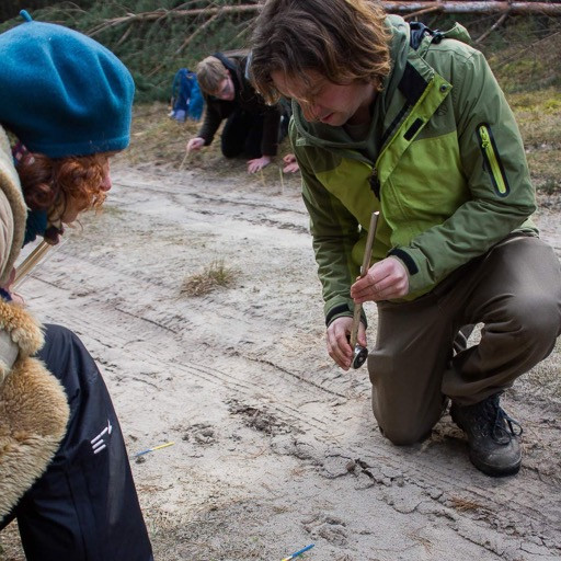 Vorschau Bild des Kurses Wolfstracking