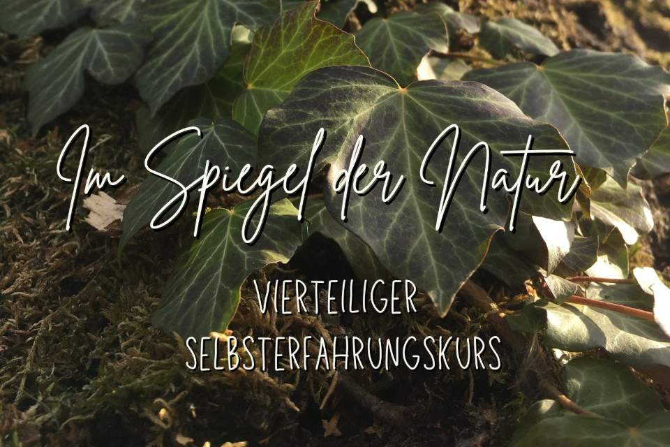 Vorschau Bild des Kurses Im Spiegel der Natur