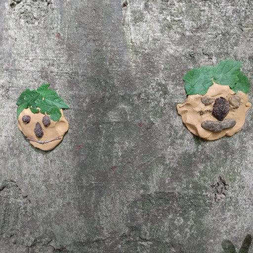 Vorschau Bild des Kurses Stadtfüchse Bochum