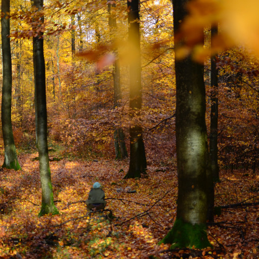 Vorschau Bild des Kurses Wildnispädagogik Weiterbildung II