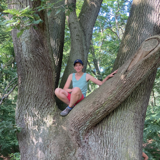 Bild des Team Mitglieds Katja Papenbrock