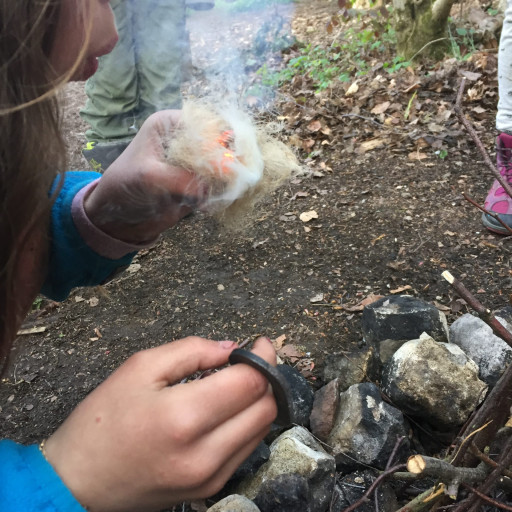Vorschau Bild des Kurses Herbst-Wald-Leben
