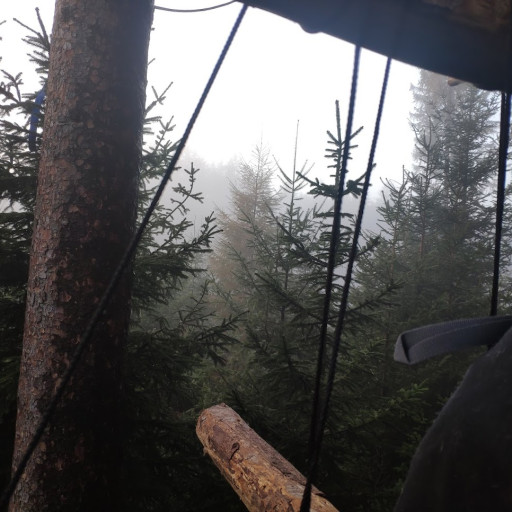 Vorschau Bild des Kurses Waldnacht, Wildniswanderung für Waldmenschen!