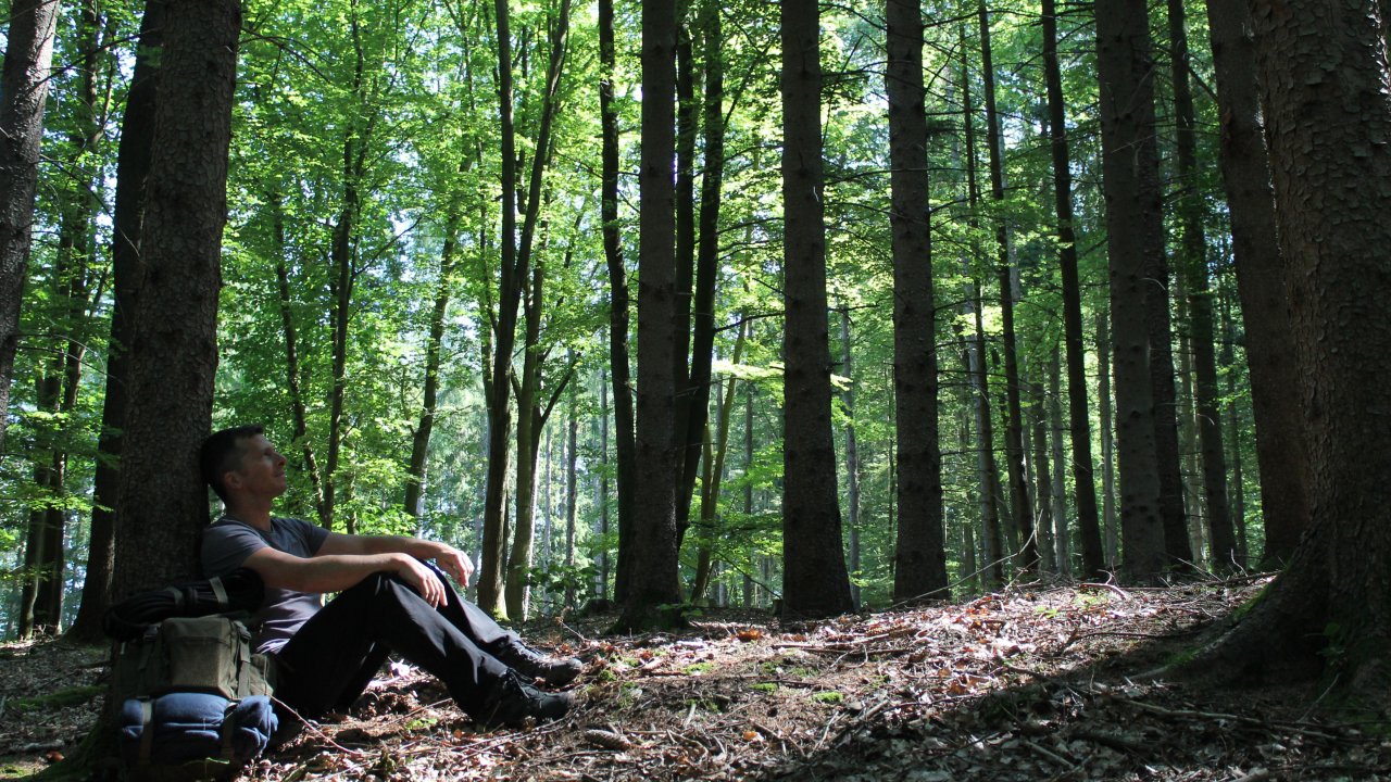 Vorschau Bild des Kurses Achtsamkeit & Natur
