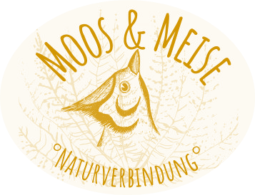 Logo der Wildnisschule Moos&Meise
