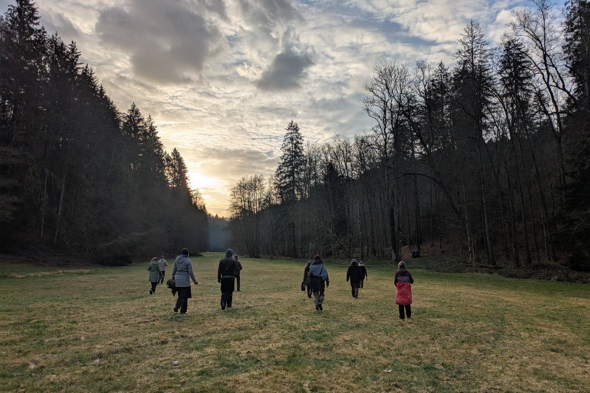 Vorschau Bild des Kurses Weiterbildung Wildnispädagogik