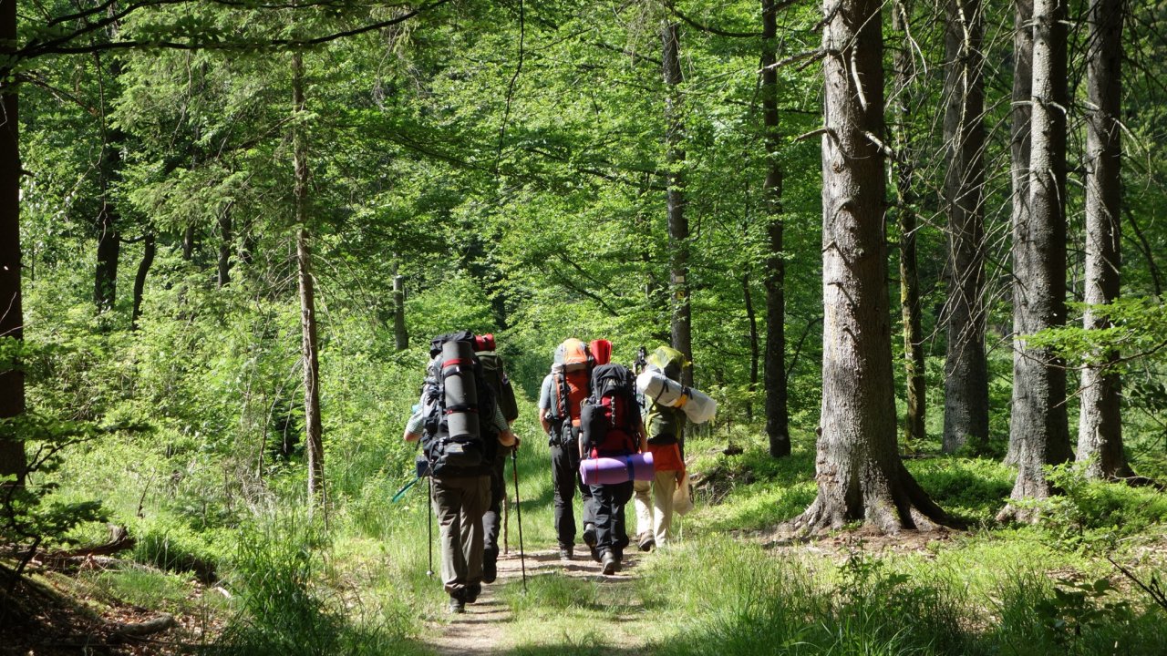 Vorschau Bild des Kurses Wildniswandern im Odenwald