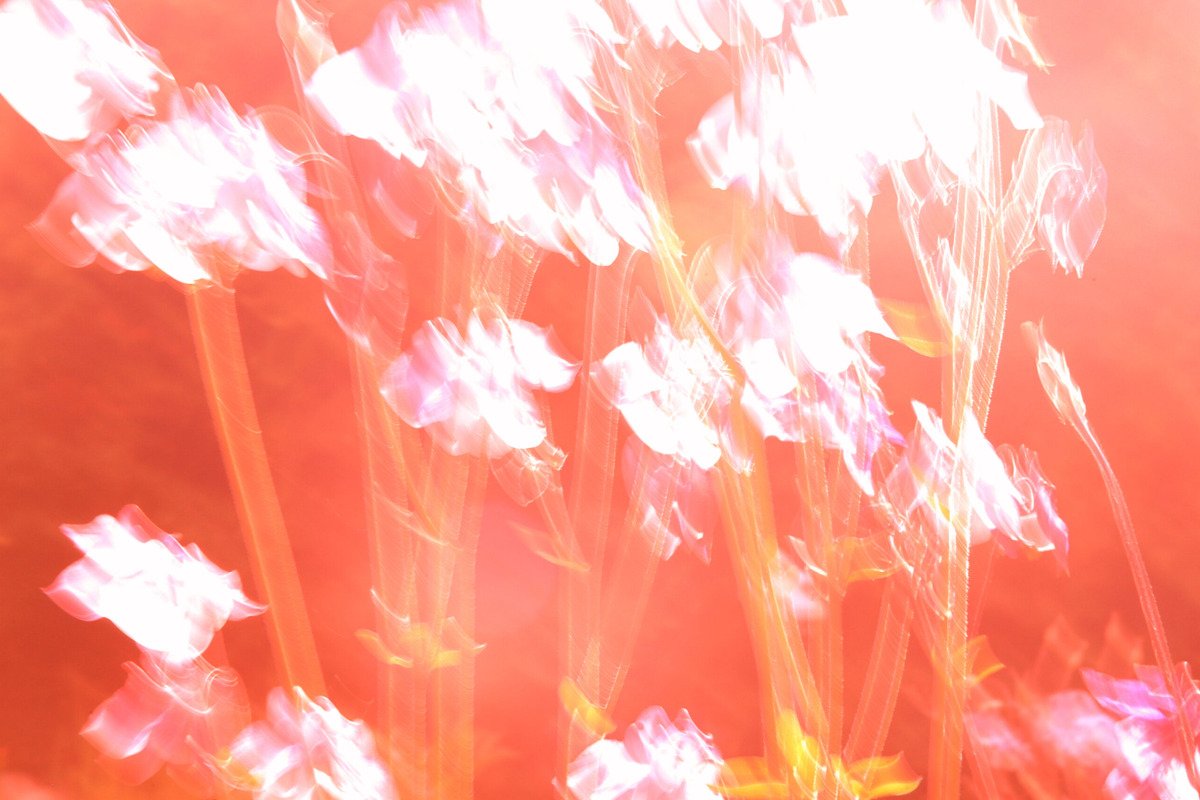 Vorschau Bild des Kurses FAMILIENCAMP AM SILBERSEE