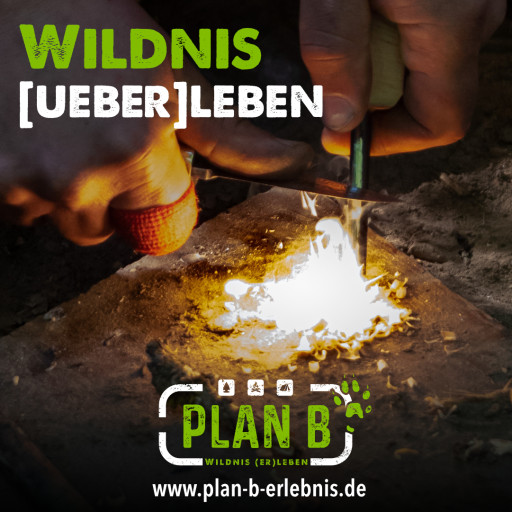 Vorschau Bild des Kurses Survival Basic