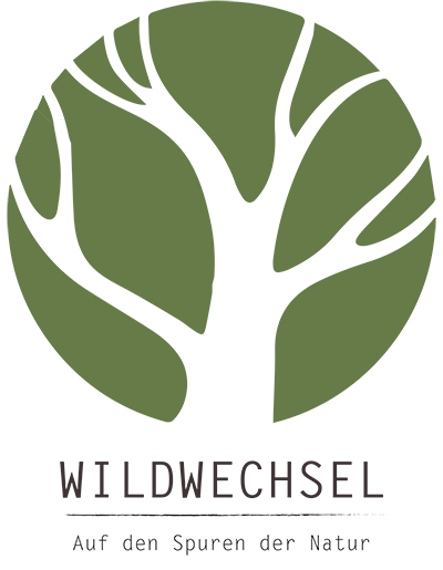 Bild von Wildwechsel - auf den spuren der Natur