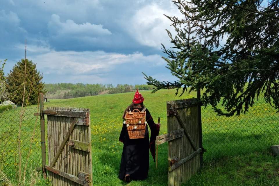 Vorschau Bild des Kurses Kräuterwanderung durch,s Selketal