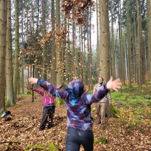 Vorschau Bild des Kurses Weiterbildung Natur-Wildnispädagogik