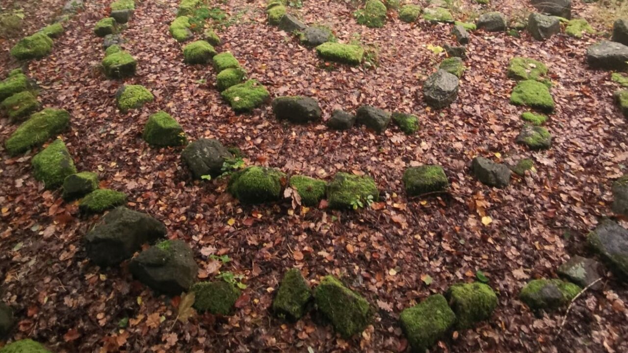 Vorschau Bild des Kurses Samhain Retreat