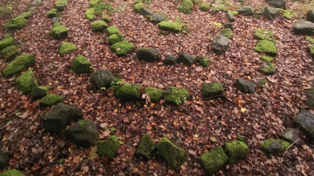 Vorschau Bild des Kurses Samhain Retreat