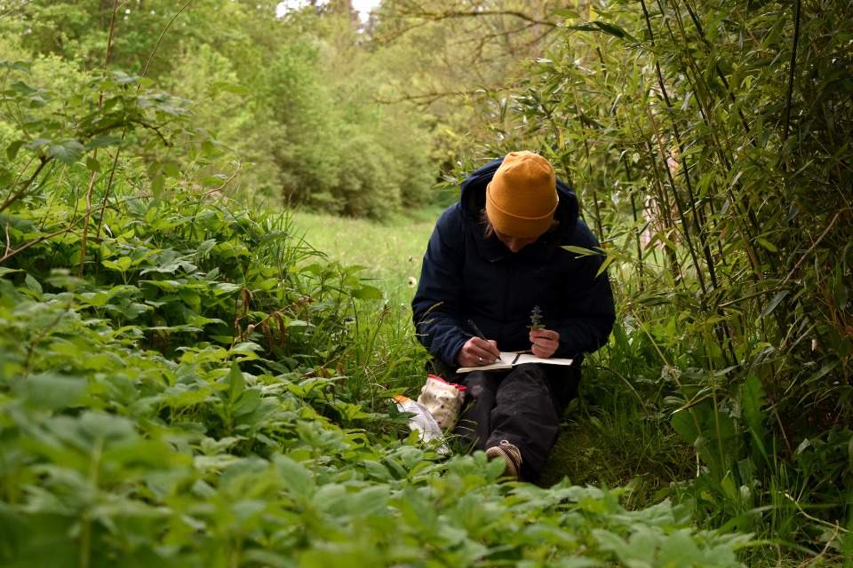 Vorschau Bild des Kurses Nature Journaling - Eine kreative Reise durch die Jahreszeiten