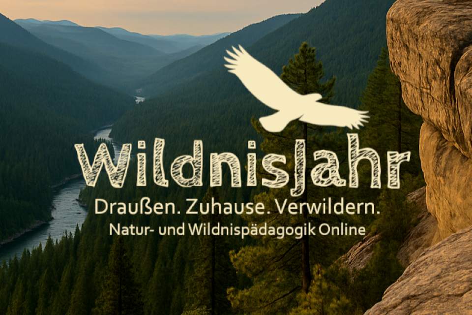 Vorschau Bild des Kurses WildnisJahr