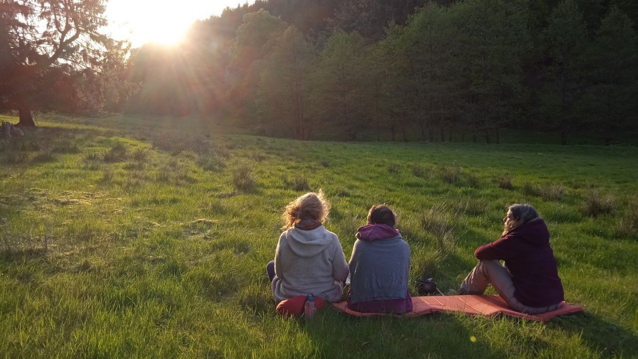 Vorschau Bild des Kurses Lebendig & verbunden