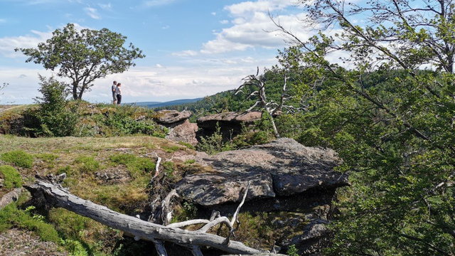Preview image of class Wildniswandern in den Vogesen