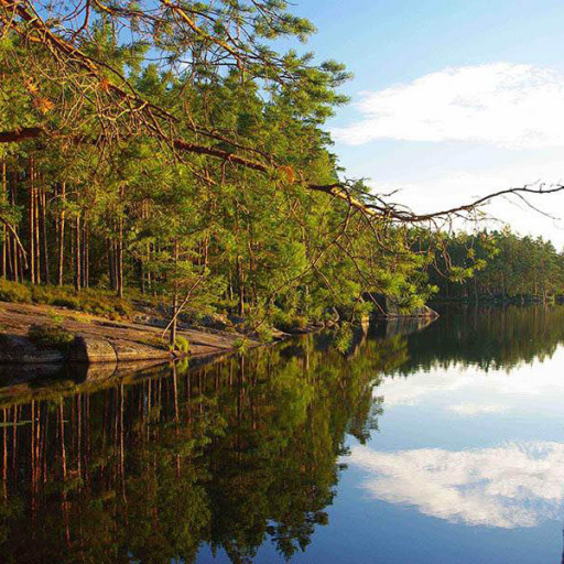 Vorschau Bild des Kurses Survival Wochencamp Schweden