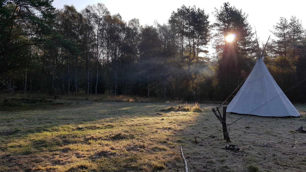 Vorschau Bild des Kurses Wildlife - Wildniszeit