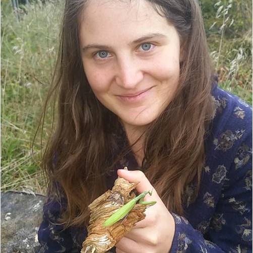 Bild des Team Mitglieds Anja (Stone Mountain)